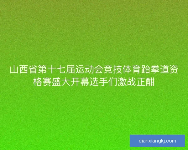 山西省第十七届运动会竞技体育跆拳道资格赛盛大开幕选手们激战正酣