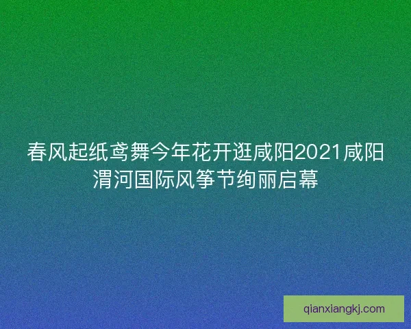 春风起纸鸢舞今年花开逛咸阳2021咸阳渭河国际风筝节绚丽启幕